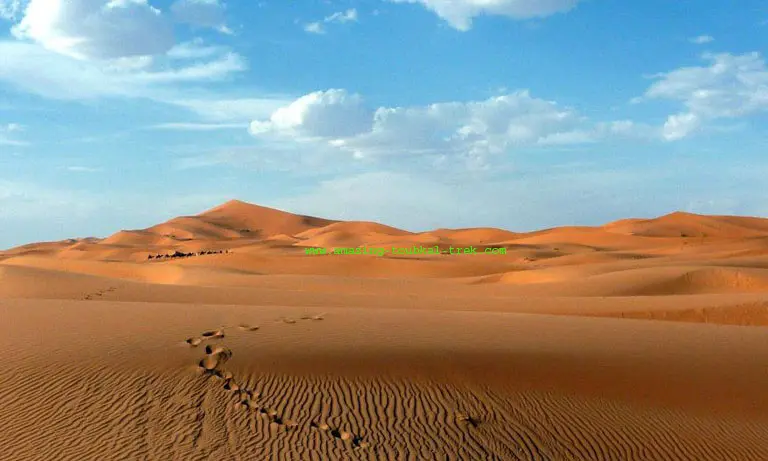 marrakech fes desert tour