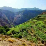 5 day high atlas desert tour