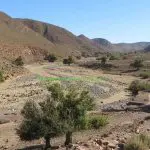 6 day djebel siroua trek