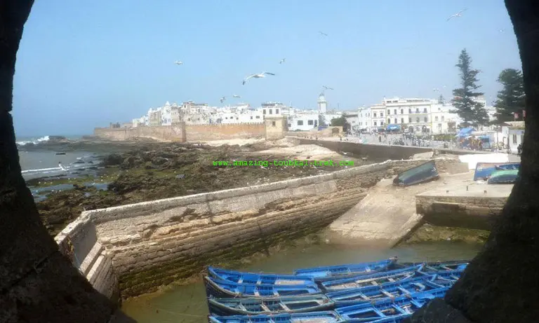 essaouira excursion