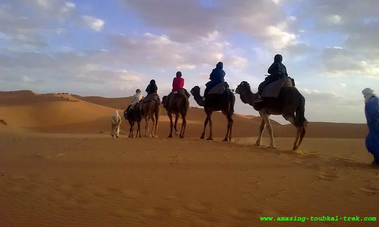 sahara desert tour from casablanca 8 days