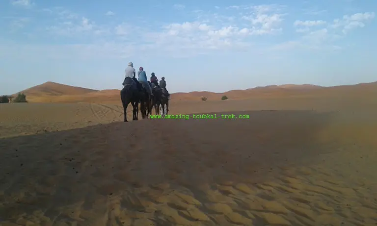 sahara desert tour marrakech