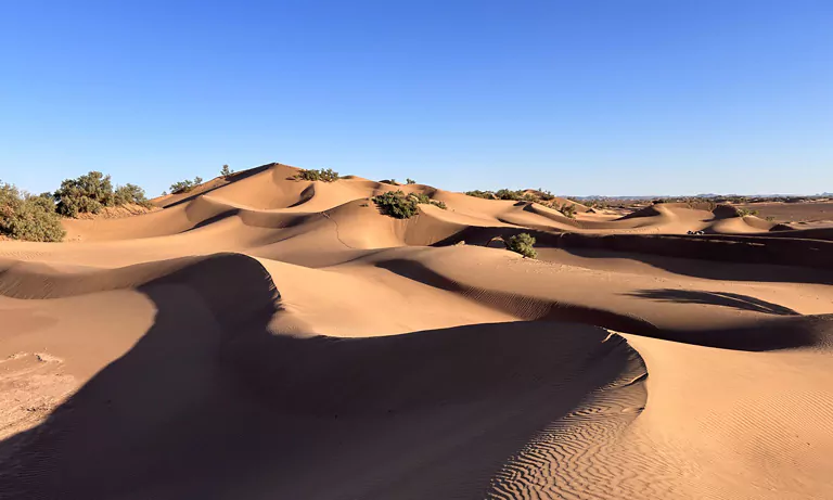 exploring the sahara desert