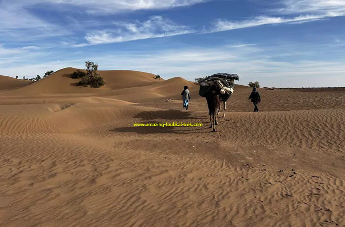 5-day moroccan desert trek