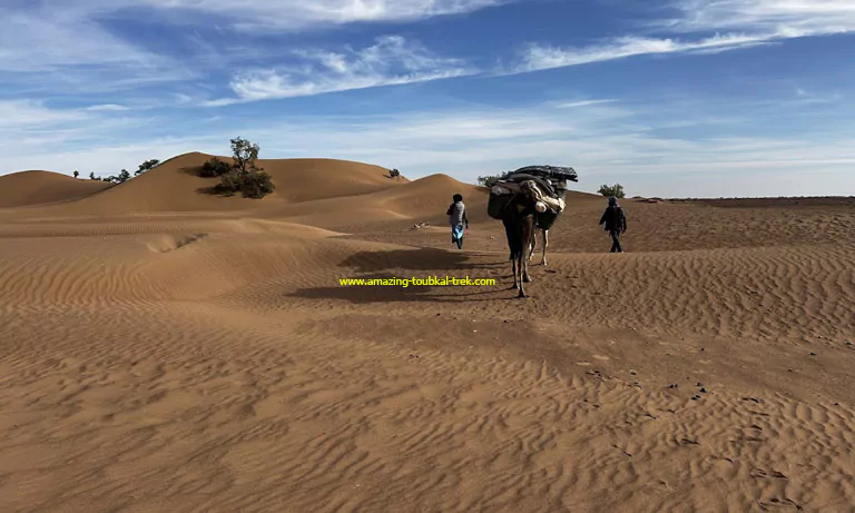 5-day moroccan desert trek