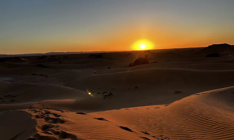 draa valley oasis