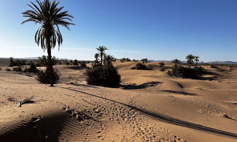 moroccan desert trek